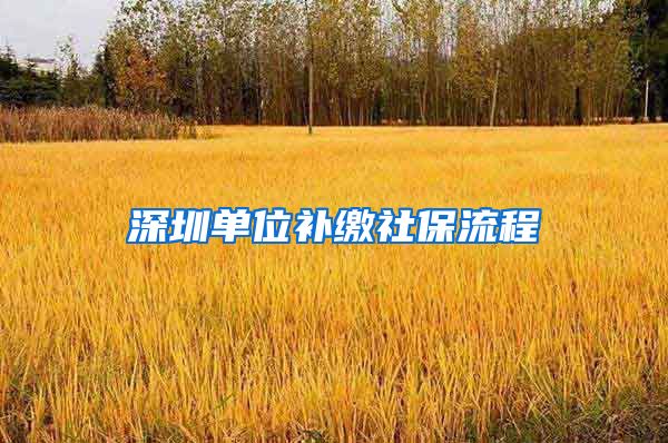 深圳单位补缴社保流程