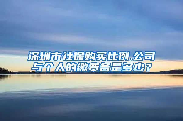 深圳市社保购买比例,公司与个人的缴费各是多少？