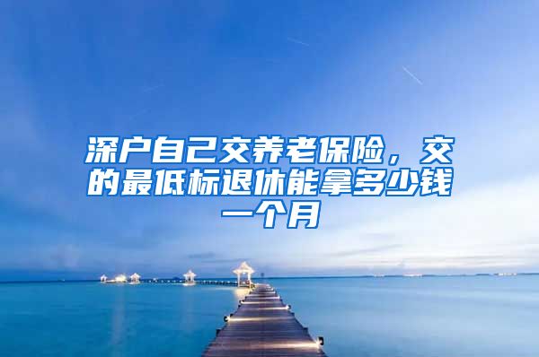 深户自己交养老保险，交的最低标退休能拿多少钱一个月