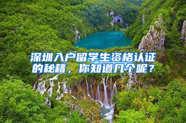 深圳入户留学生资格认证的秘籍，你知道几个呢？