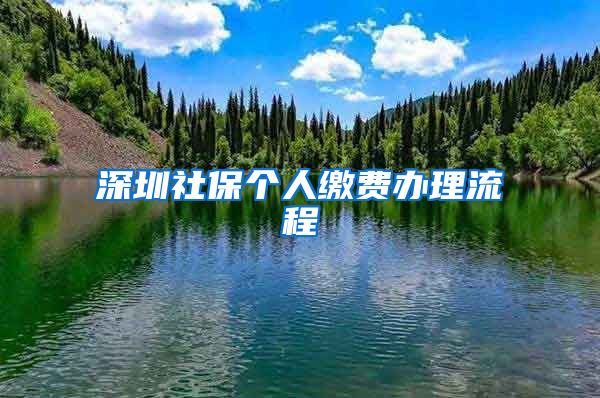 深圳社保个人缴费办理流程
