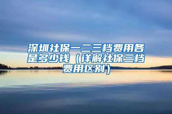 深圳社保一二三档费用各是多少钱（详解社保三档费用区别）