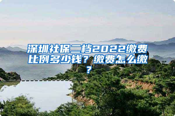 深圳社保二档2022缴费比例多少钱？缴费怎么缴？