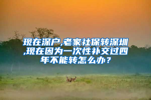 现在深户,老家社保转深圳,现在因为一次性补交过四年不能转怎么办？