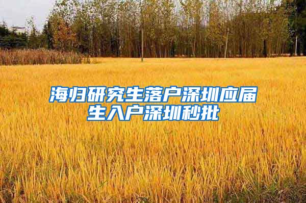 海归研究生落户深圳应届生入户深圳秒批