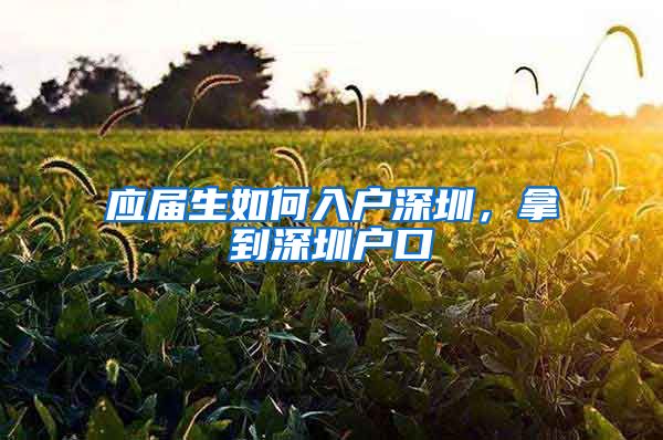 应届生如何入户深圳，拿到深圳户口