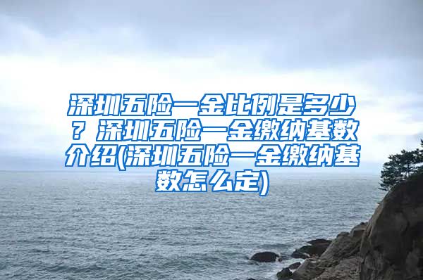 深圳五险一金比例是多少？深圳五险一金缴纳基数介绍(深圳五险一金缴纳基数怎么定)