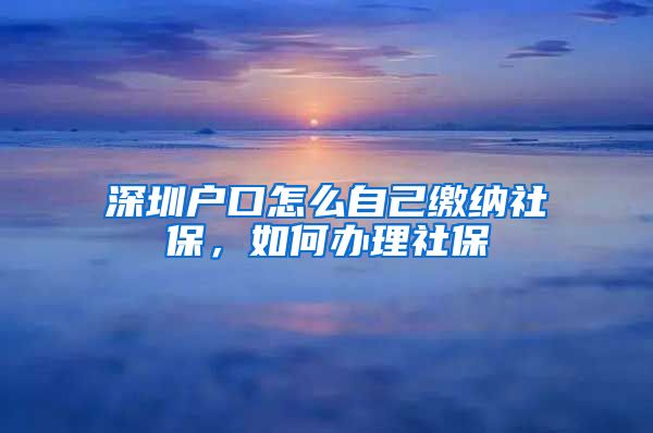 深圳户口怎么自己缴纳社保，如何办理社保