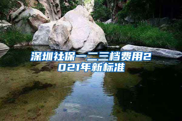 深圳社保一二三档费用2021年新标准