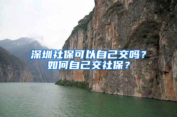 深圳社保可以自己交吗？如何自己交社保？