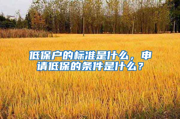 低保户的标准是什么，申请低保的条件是什么？