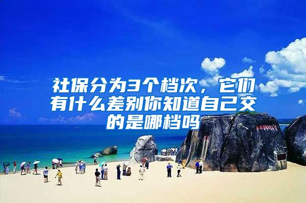 社保分为3个档次，它们有什么差别你知道自己交的是哪档吗