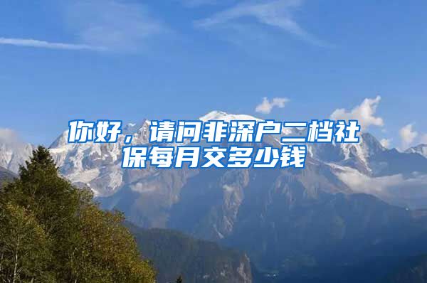 你好，请问非深户二档社保每月交多少钱