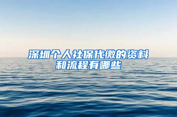 深圳个人社保代缴的资料和流程有哪些