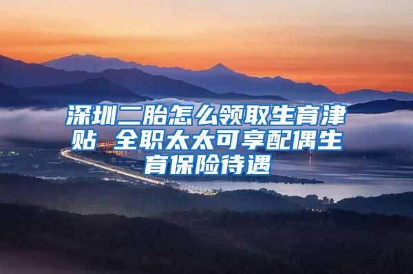 深圳二胎怎么领取生育津贴 全职太太可享配偶生育保险待遇