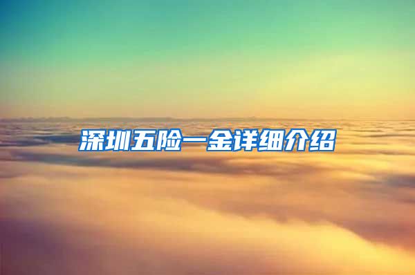 深圳五险一金详细介绍