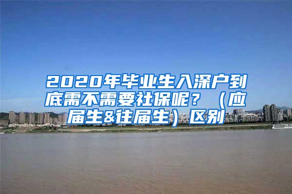 2020年毕业生入深户到底需不需要社保呢？（应届生&往届生）区别