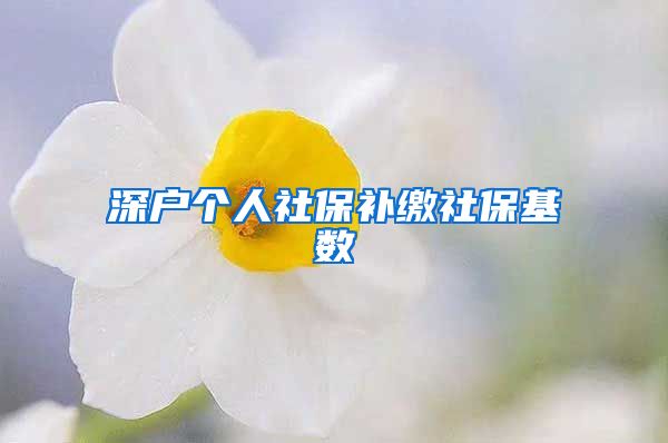 深户个人社保补缴社保基数