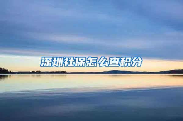 深圳社保怎么查积分