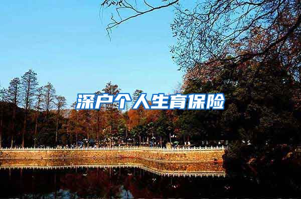 深户个人生育保险