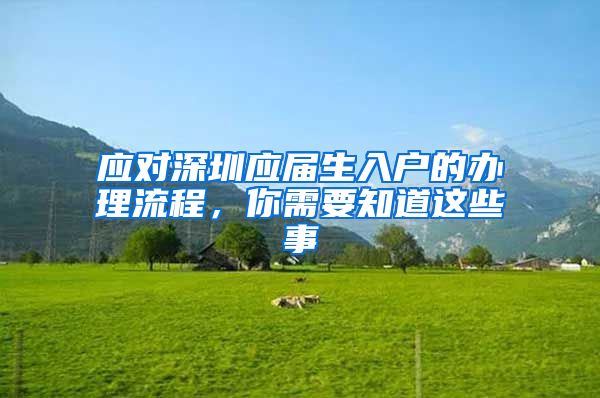 应对深圳应届生入户的办理流程，你需要知道这些事