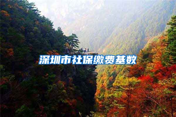 深圳市社保缴费基数
