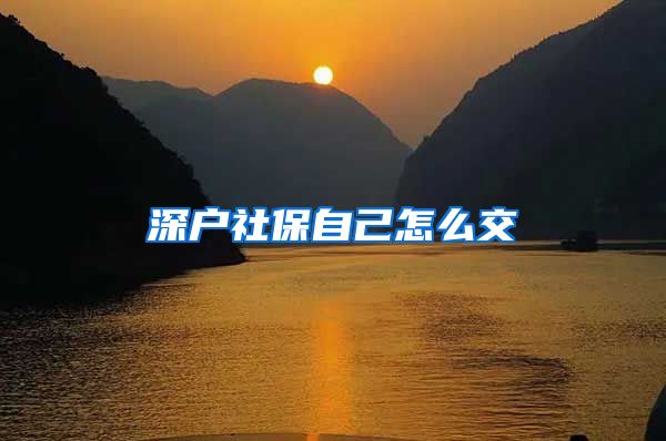 深户社保自己怎么交