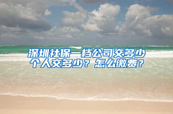 深圳社保一档公司交多少个人交多少？怎么缴费？