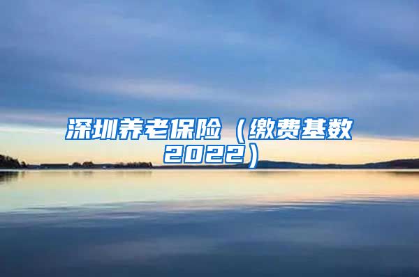 深圳养老保险（缴费基数2022）