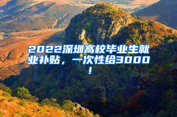 2022深圳高校毕业生就业补贴，一次性给3000！