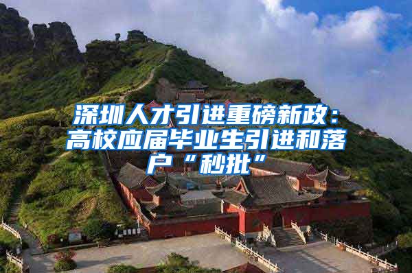 深圳人才引进重磅新政：高校应届毕业生引进和落户“秒批”