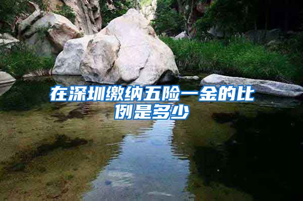 在深圳缴纳五险一金的比例是多少