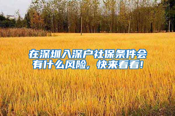 在深圳入深户社保条件会有什么风险, 快来看看!