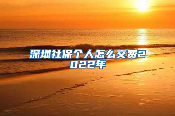 深圳社保个人怎么交费2022年