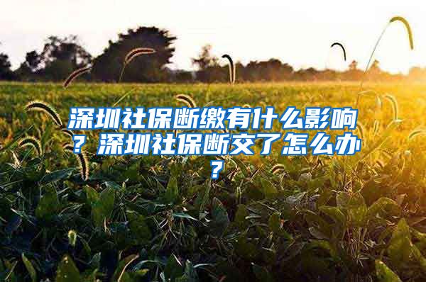 深圳社保断缴有什么影响？深圳社保断交了怎么办？