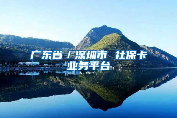 广东省／深圳市 社保卡业务平台
