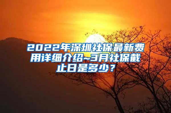 2022年深圳社保最新费用详细介绍~3月社保截止日是多少？