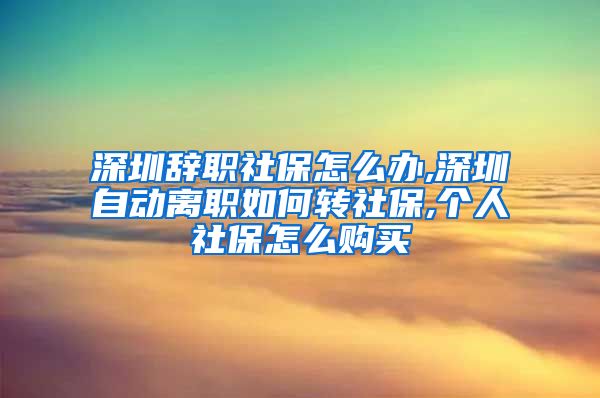 深圳辞职社保怎么办,深圳自动离职如何转社保,个人社保怎么购买