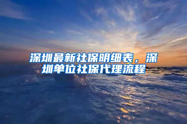 深圳最新社保明细表，深圳单位社保代理流程