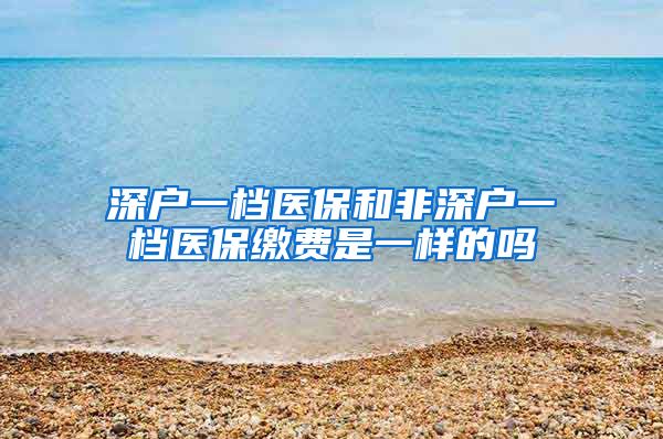 深户一档医保和非深户一档医保缴费是一样的吗