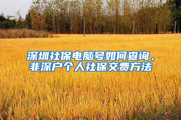 深圳社保电脑号如何查询，非深户个人社保交费方法