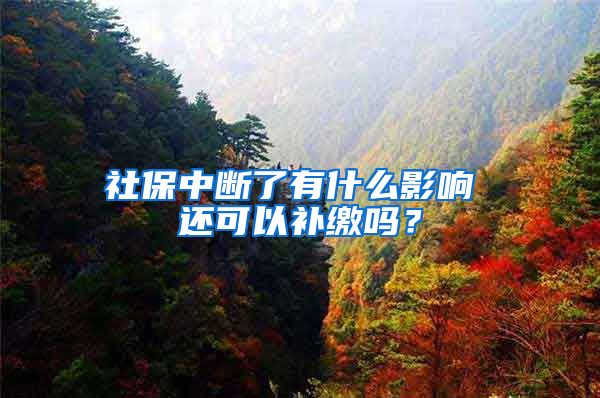 社保中断了有什么影响 还可以补缴吗？