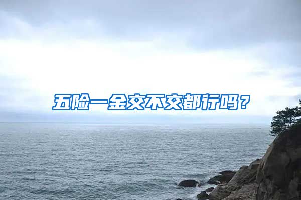 五险一金交不交都行吗？