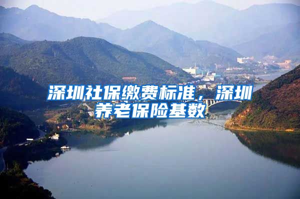 深圳社保缴费标准，深圳养老保险基数