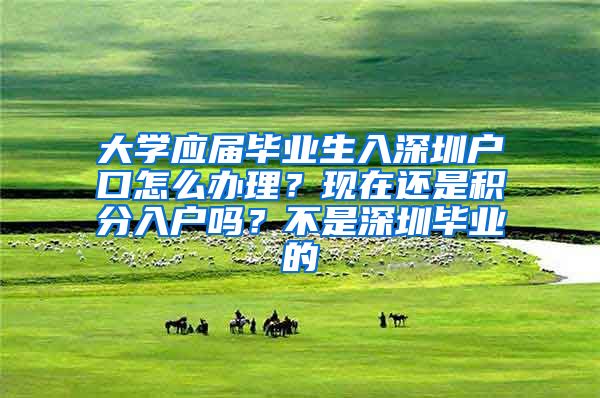 大学应届毕业生入深圳户口怎么办理？现在还是积分入户吗？不是深圳毕业的