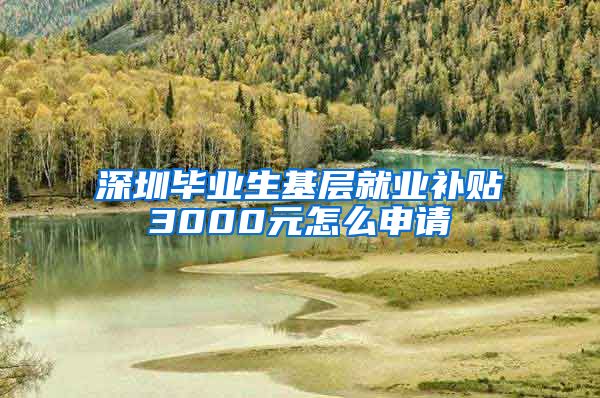 深圳毕业生基层就业补贴3000元怎么申请