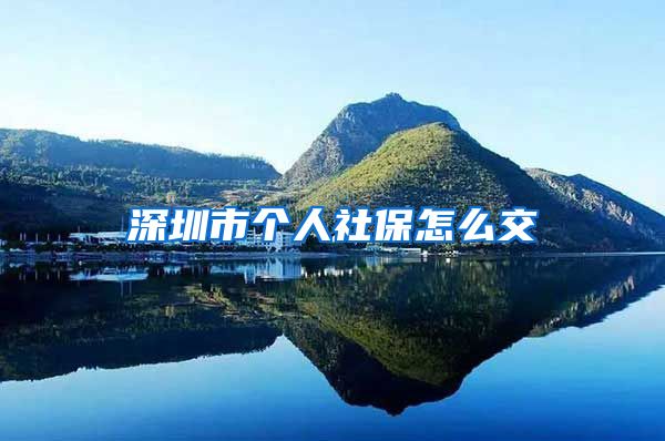 深圳市个人社保怎么交