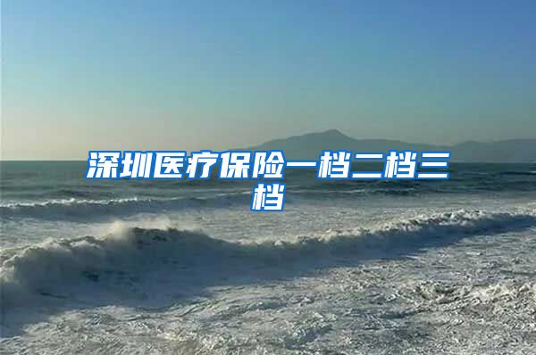 深圳医疗保险一档二档三档