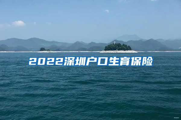 2022深圳户口生育保险