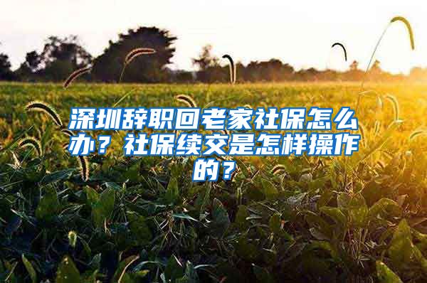 深圳辞职回老家社保怎么办？社保续交是怎样操作的？